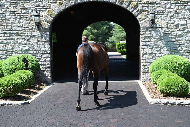 AHP-TOUR-5-12-22-8585-DDeRosaPhoto