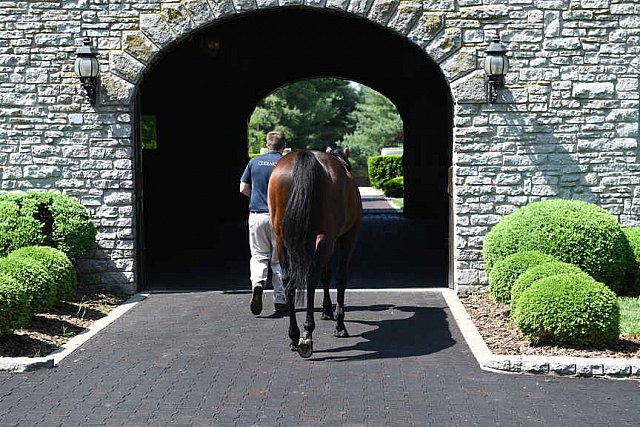 AHP-TOUR-5-12-22-8586-DDeRosaPhoto