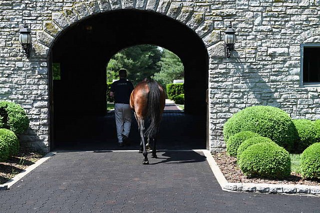 AHP-TOUR-5-12-22-8587-DDeRosaPhoto