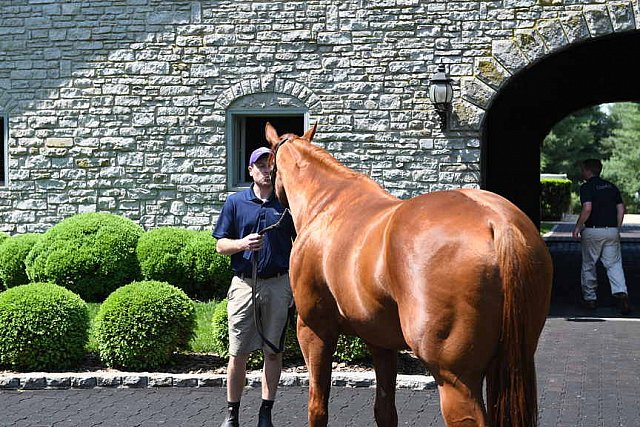 AHP-TOUR-5-12-22-8599-DDeRosaPhoto