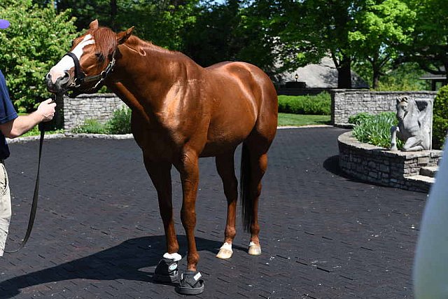 AHP-TOUR-5-12-22-8607-DDeRosaPhoto