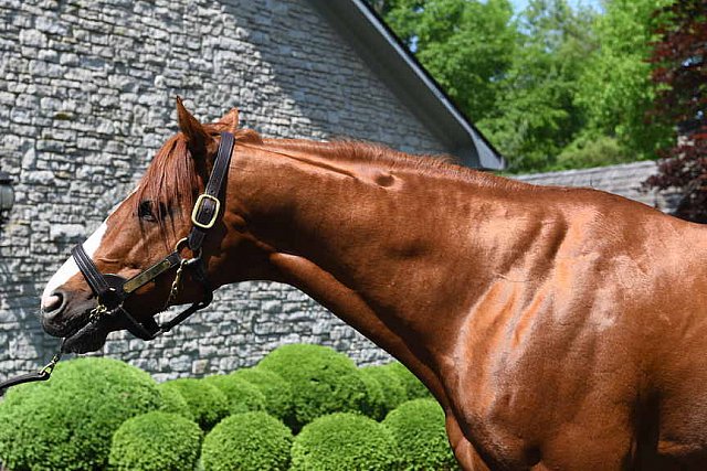 AHP-TOUR-5-12-22-8608-DDeRosaPhoto