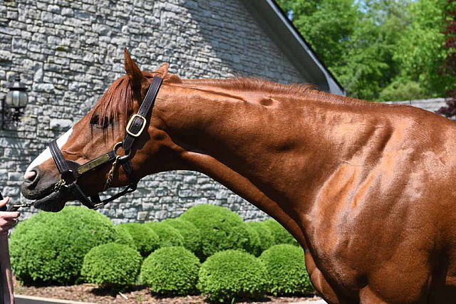 AHP-TOUR-5-12-22-8609-DDeRosaPhoto