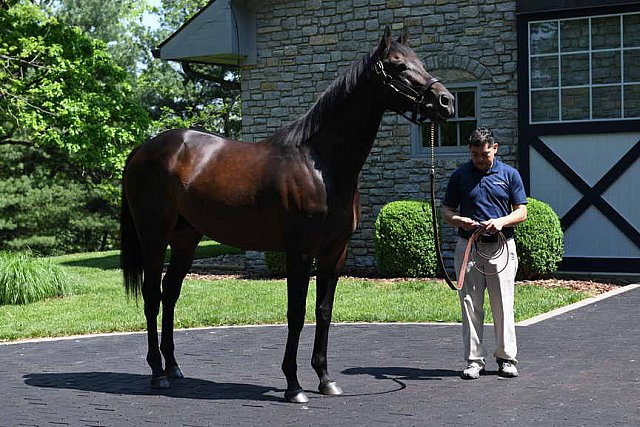 AHP-TOUR-5-12-22-8625-DDeRosaPhoto