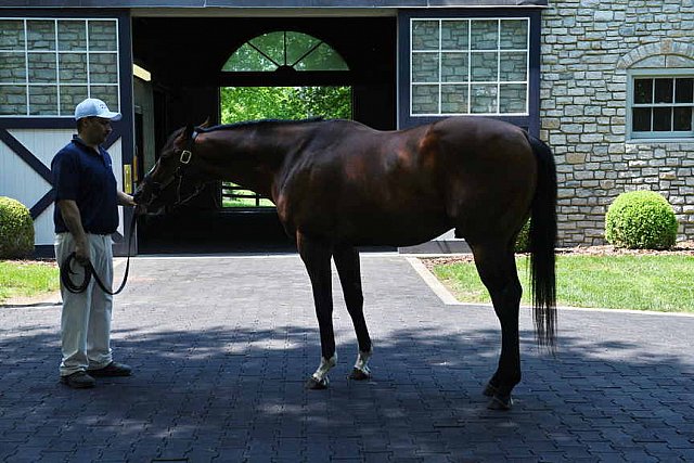 AHP-TOUR-5-12-22-8634-DDeRosaPhoto