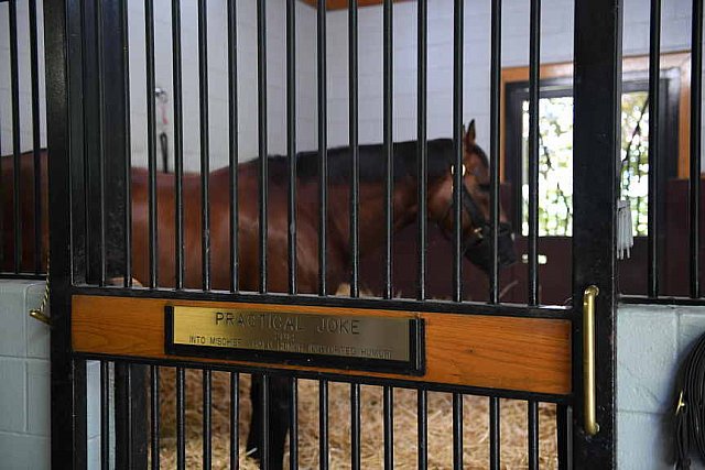 AHP-TOUR-5-12-22-8642-DDeRosaPhoto