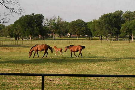 05.15.25-TOUR-WELCOME-9153-DDeRosaPhoto