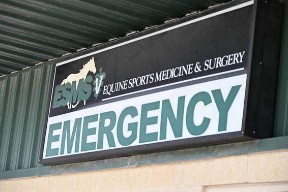 05.15.25-TOUR-WELCOME-9188-DDeRosaPhoto