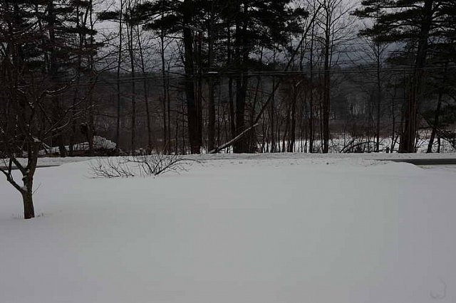 Acting-GreatEscape-2-17-15-9672-DDeRosaPhoto