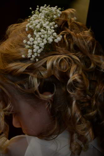 Beth1 Wedding-7-28-13-9859-DDeRosaPhoto