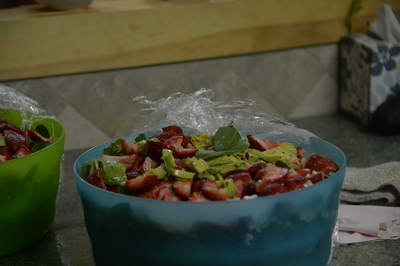 Beth-Shower-6-2-13-0325-DDeRosaPhoto