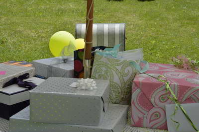 Beth-Shower-6-2-13-0349-DDeRosaPhoto