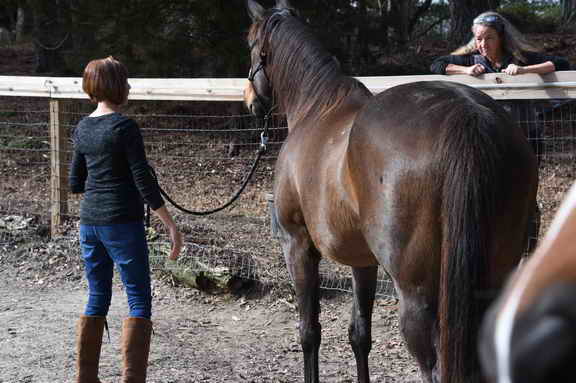 EFF-Camden-2-20-25-2017-3145-DDeRosaPhoto