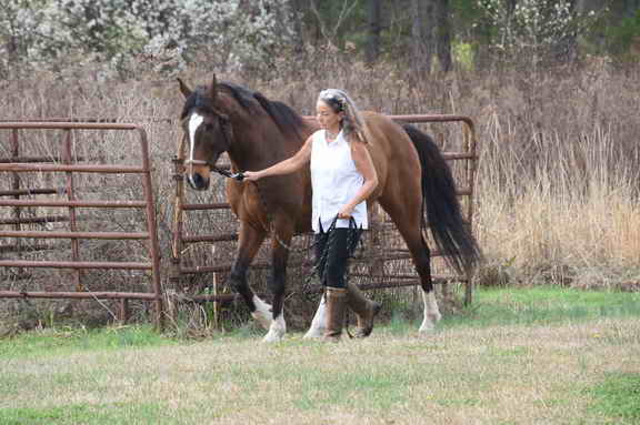 EFF-Camden-2-20-25-2017-3401-DDeRosaPhoto