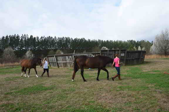 EFF-Camden-2-20-25-2017-3420-DDeRosaPhoto