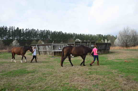 EFF-Camden-2-20-25-2017-3421-DDeRosaPhoto