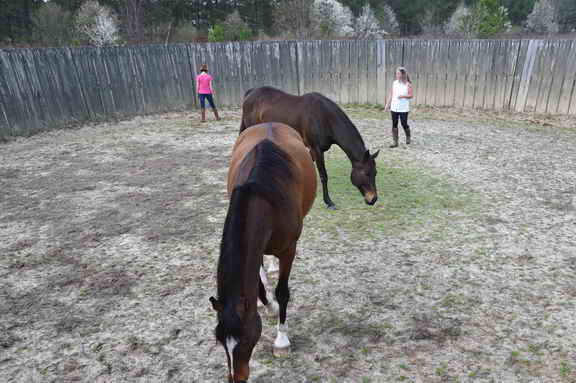 EFF-Camden-2-20-25-2017-3429-DDeRosaPhoto