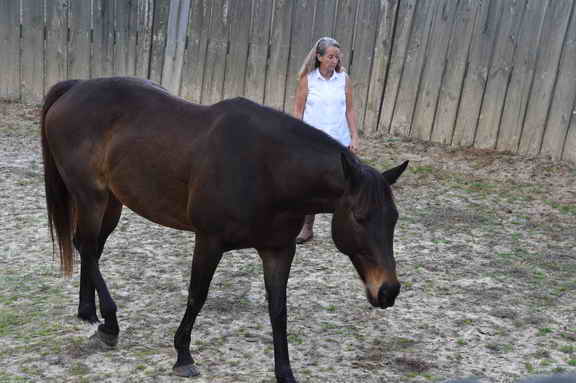 EFF-Camden-2-20-25-2017-3443-DDeRosaPhoto