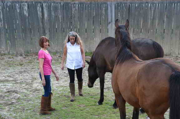 EFF-Camden-2-20-25-2017-3455-DDeRosaPhoto