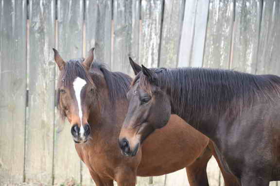 EFF-Camden-2-20-25-2017-3487-DDeRosaPhoto