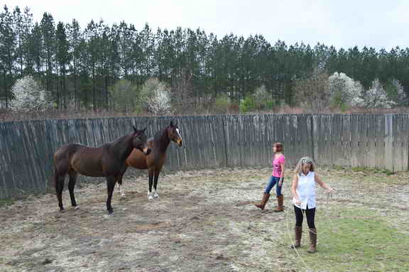 EFF-Camden-2-20-25-2017-3491-DDeRosaPhoto