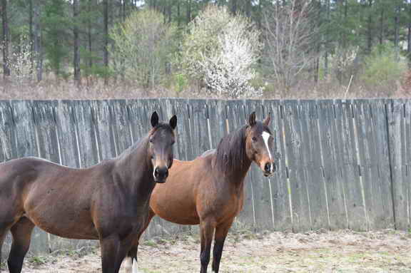 EFF-Camden-2-20-25-2017-3494-DDeRosaPhoto