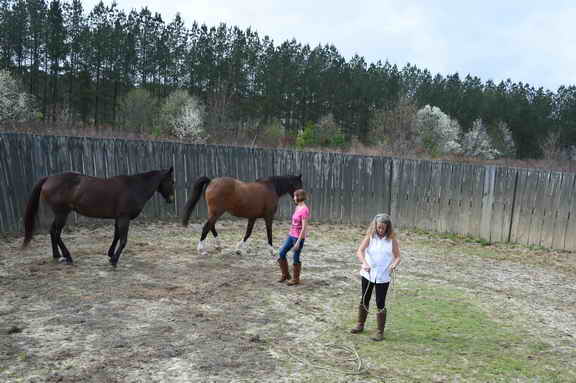 EFF-Camden-2-20-25-2017-3496-DDeRosaPhoto