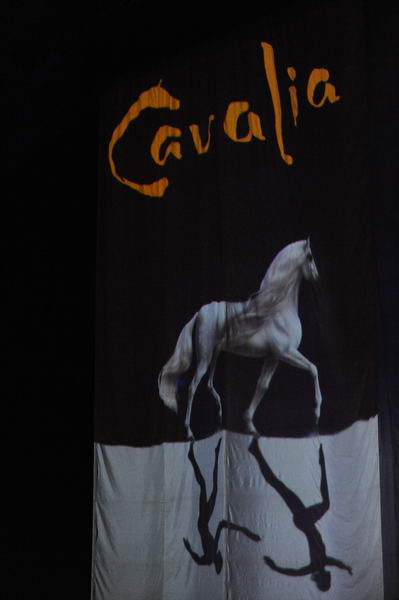 Cavalia-6-8-10-003-DDeRosaPhoto.jpg