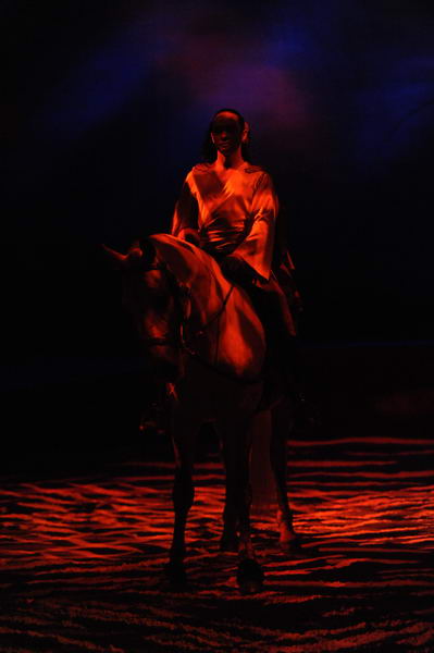 Cavalia-6-8-10-007-DDeRosaPhoto.jpg