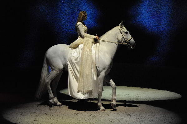 Cavalia-6-8-10-088-DDeRosaPhoto.jpg