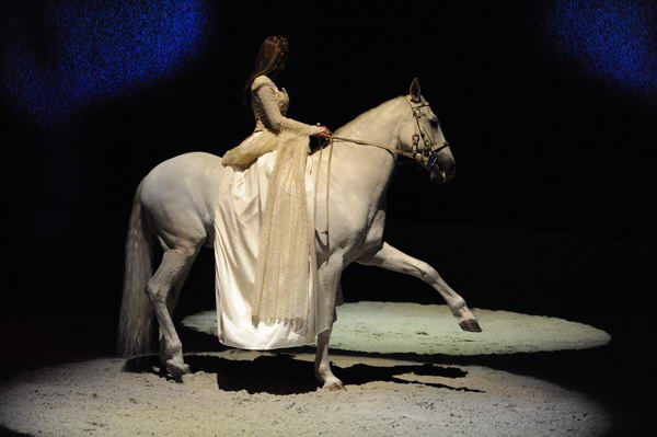 Cavalia-6-8-10-089-DDeRosaPhoto.jpg