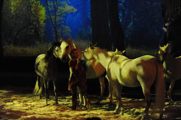 Cavalia-6-8-10-224-DDeRosaPhoto.jpg