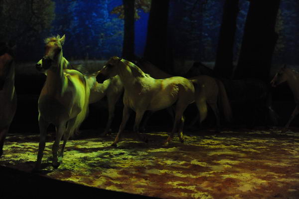 Cavalia-6-8-10-234-DDeRosaPhoto.jpg