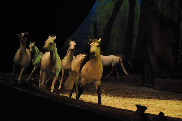 Cavalia-6-8-10-261-DDeRosaPhoto.jpg