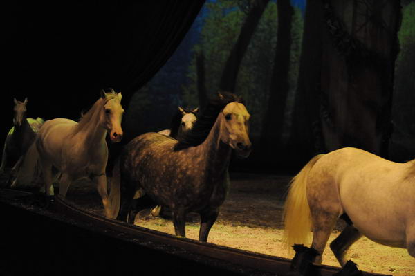 Cavalia-6-8-10-262-DDeRosaPhoto.jpg