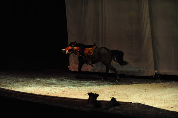 Cavalia-6-8-10-311-DDeRosaPhoto.jpg