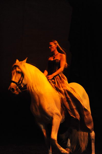 Cavalia-6-8-10-430-DDeRosaPhoto.jpg