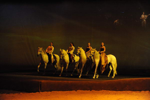 Cavalia-6-8-10-443-DDeRosaPhoto.jpg