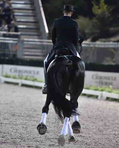 CPHS-Dressage-9-20-14-3520-SteffenPeters-Ravel-USA-DDeRosaPhoto