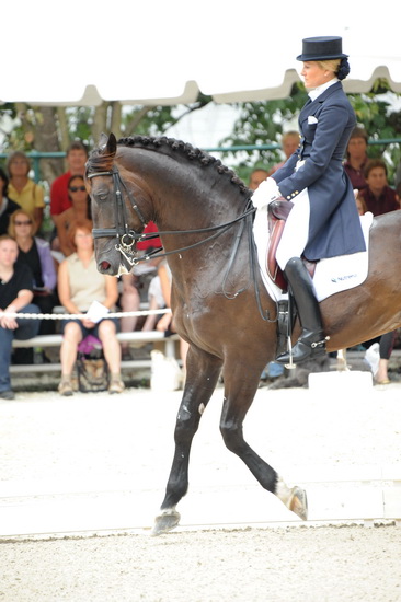 Gladstone-6-2010-5800-WEGSel-DDeRosaPhoto