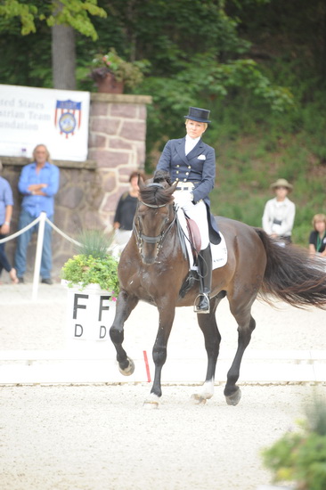 Gladstone-6-2010-5826-WEGSel-DDeRosaPhoto