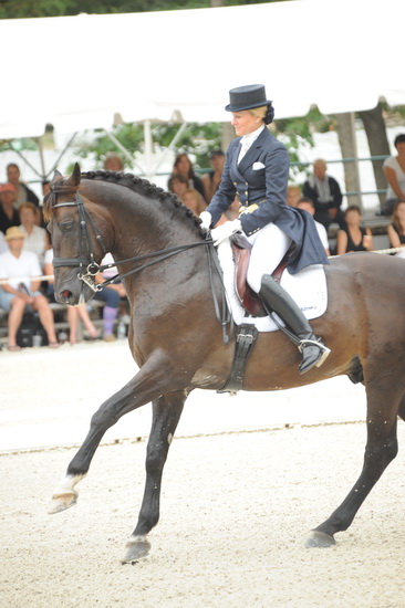 Gladstone-6-2010-5885-WEGSel-DDeRosaPhoto