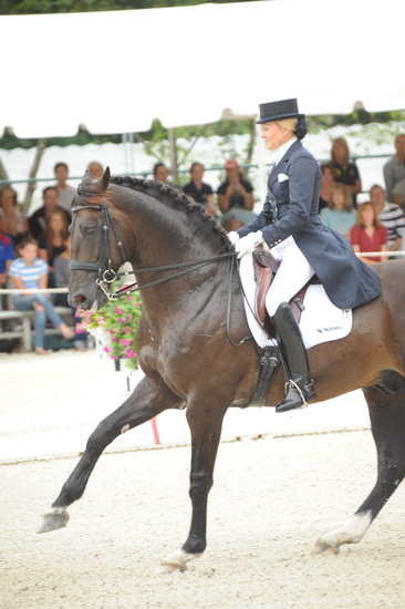 Gladstone-6-2010-5886-WEGSel-DDeRosaPhoto