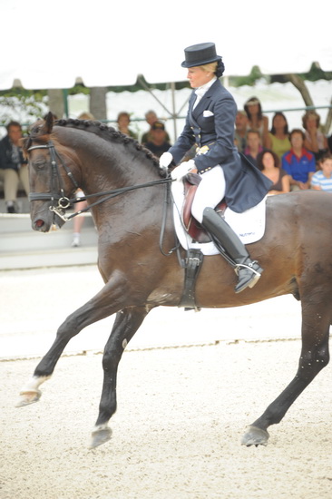 Gladstone-6-2010-5887-WEGSel-DDeRosaPhoto