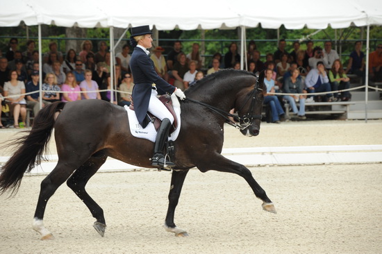 Gladstone-6-2010-5931-WEGSel-DDeRosaPhoto