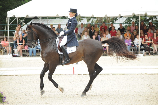 Gladstone-6-2010-5963-WEGSel-DDeRosaPhoto