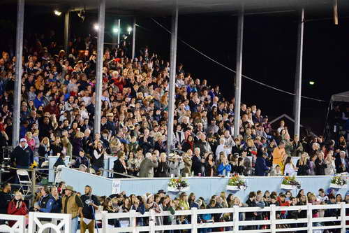 Devon-5-29-14-7318-DDeRosaPhoto