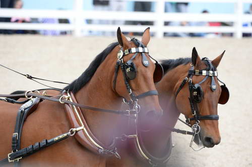 Devon-Coaching-5-29-14-6705-DDeRosaPhoto