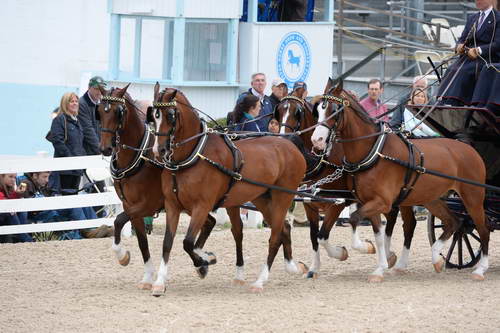 Devon-Coaching-5-29-14-6756-DDeRosaPhoto