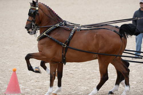 Devon-Coaching-5-29-14-6757-DDeRosaPhoto